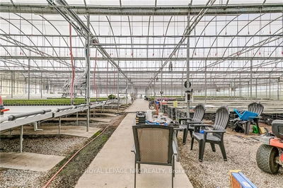 430 CONCESSION 7 Rd, Niagara-on-the-Lake - 104 - Rural image-0-3