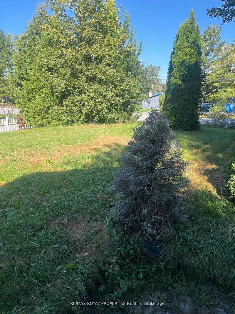 34 Robinson Ave, Kawartha Lakes, K0M 2B0 | Image 2