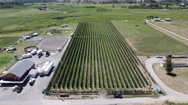 1901 Stewart Road, Cawston, British Columbia