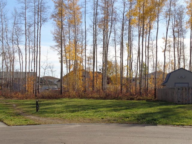 5 Birch Close