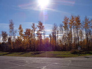 1 Boreal Crescent