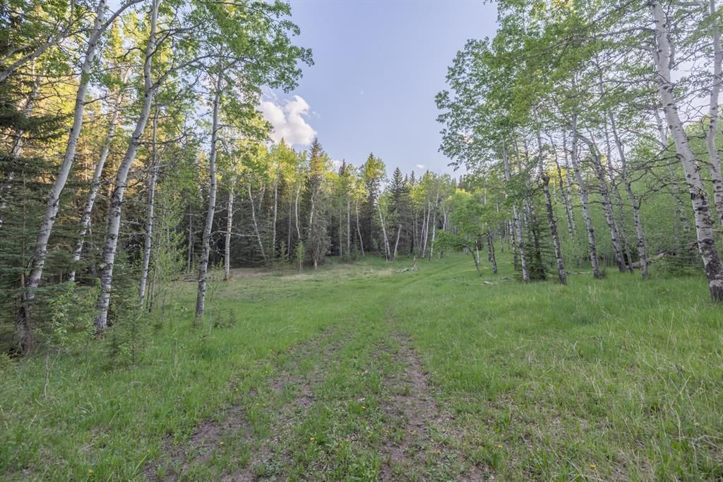 Listing Image 24