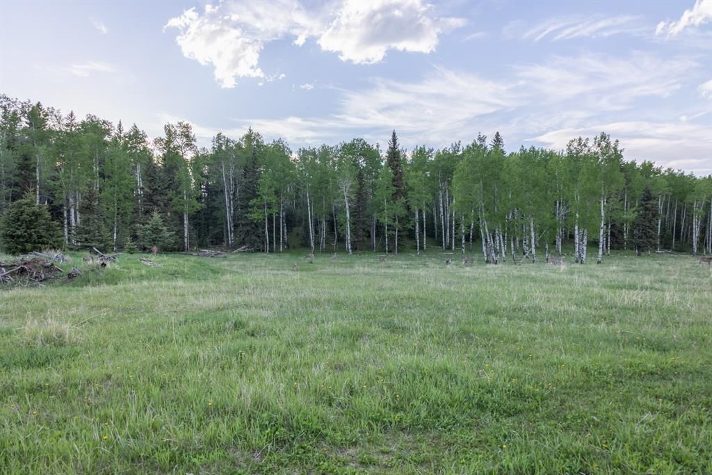 Listing Image 26