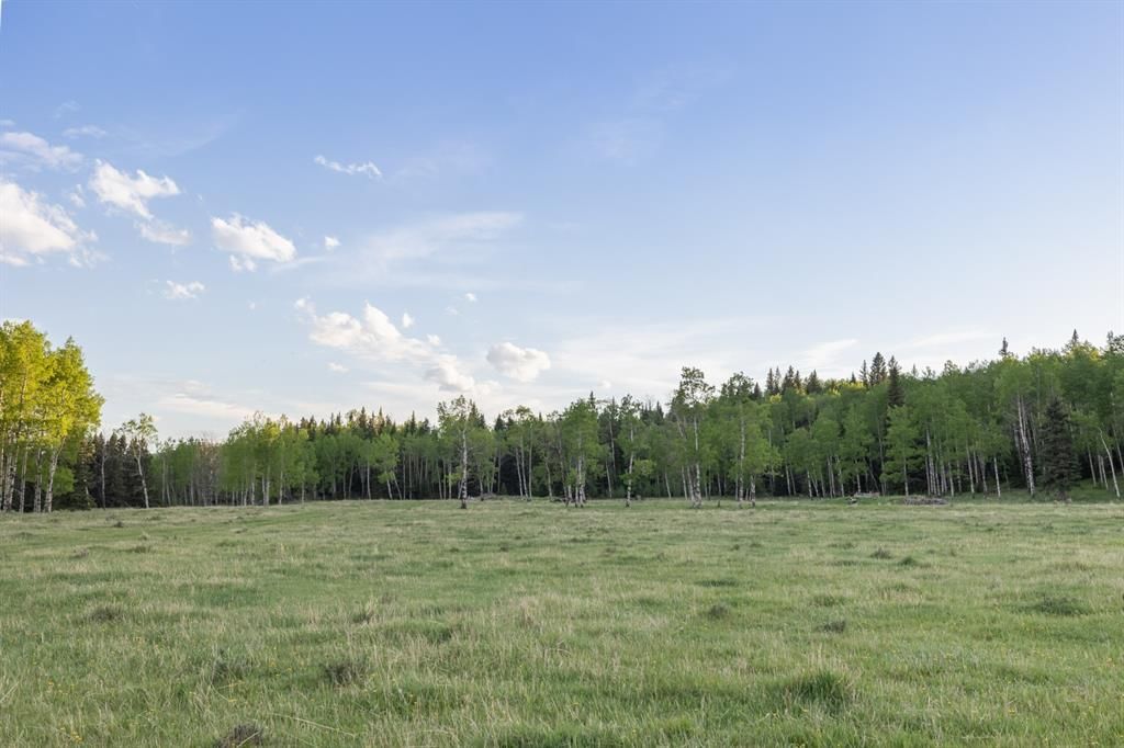 Listing Image 29