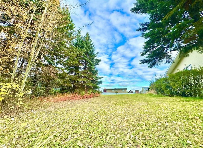 10316 103 Ave, Lac La Biche, T0A 2C0 | Image 2