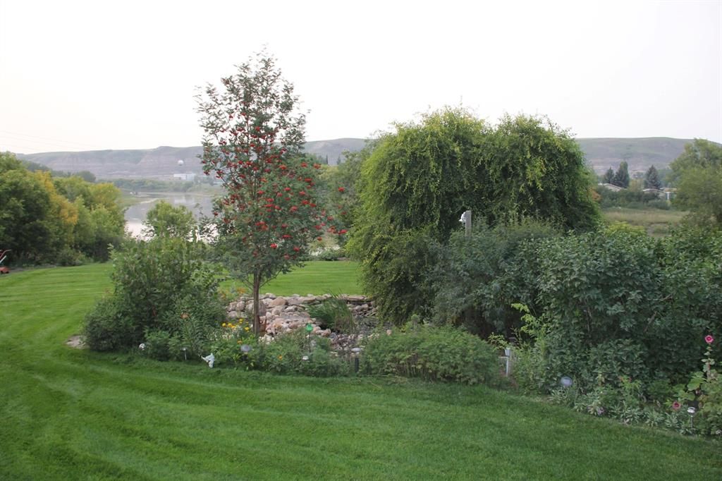 Listing Image 29