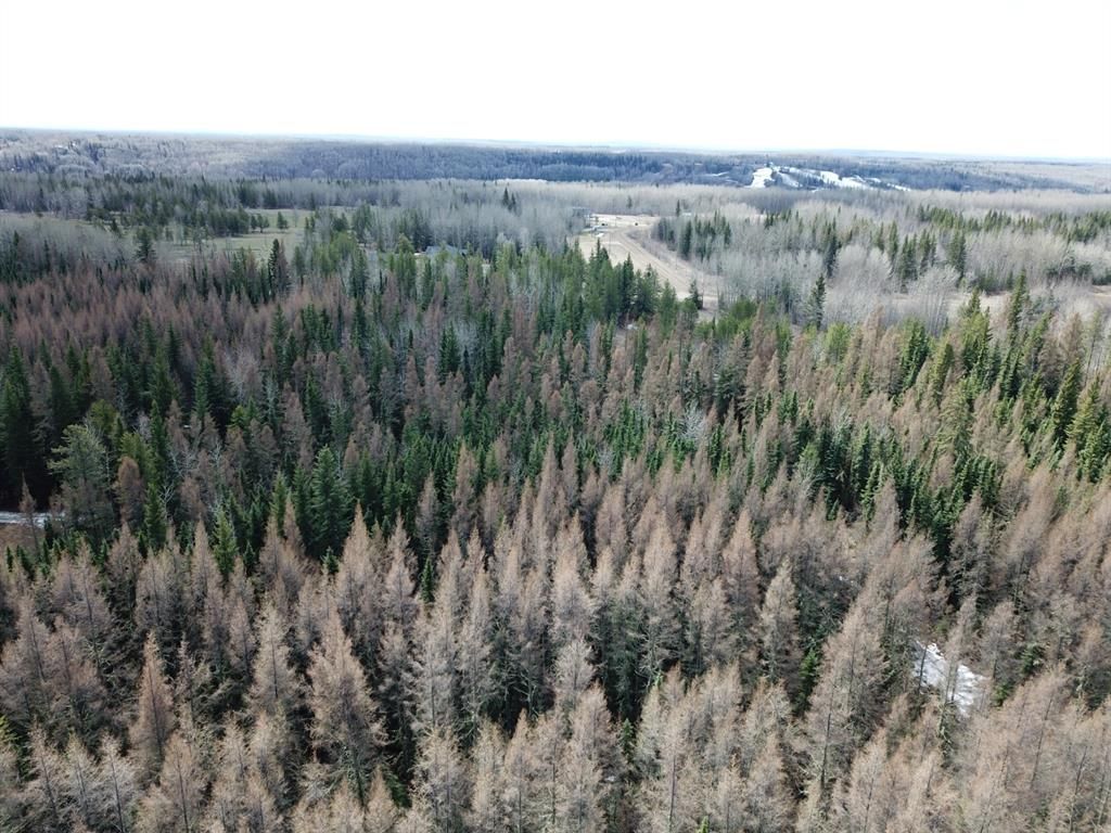 Listing Image 33