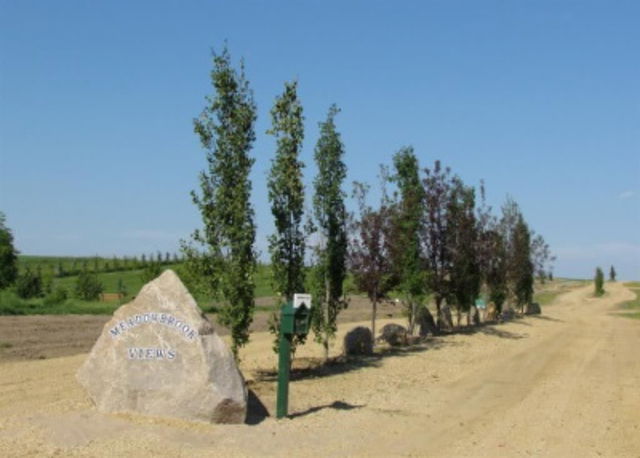Lot 12 - 