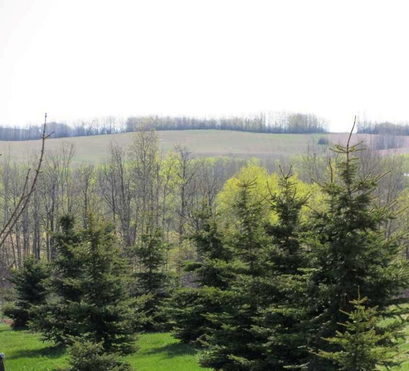 Lot 12 - 420054 Range Road 283