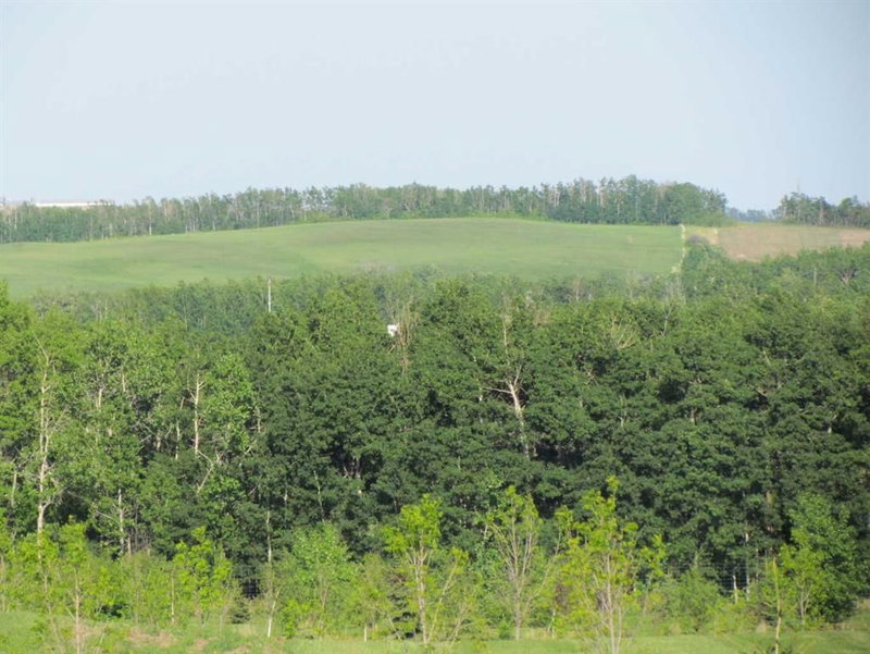 Lot 12 - 420054 Range Road 283