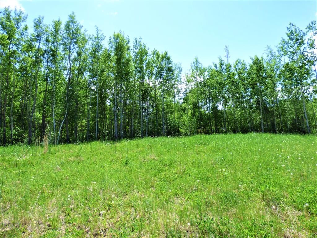 Listing Image 0