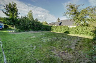 317 Dufferin Street