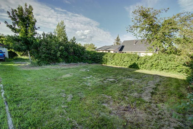 317 Dufferin Street