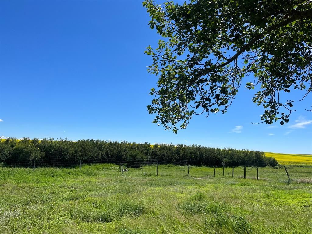 Listing Image 25