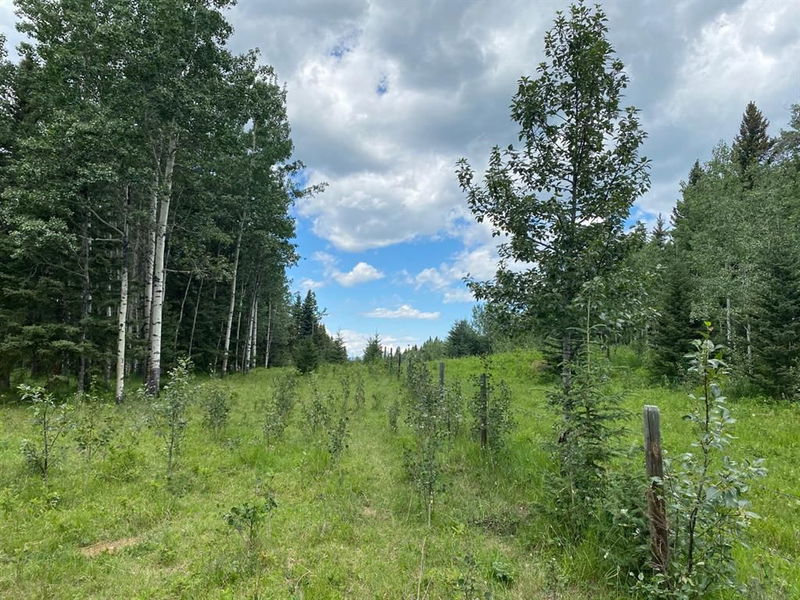 5-5-24-20 Ne & Nw, Rural Rocky View County, Alberta (MLS A1245888)