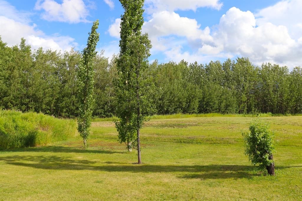 Listing Image 39