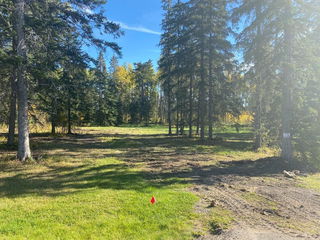 201 High Timber Place