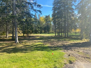 202 High Timber Place