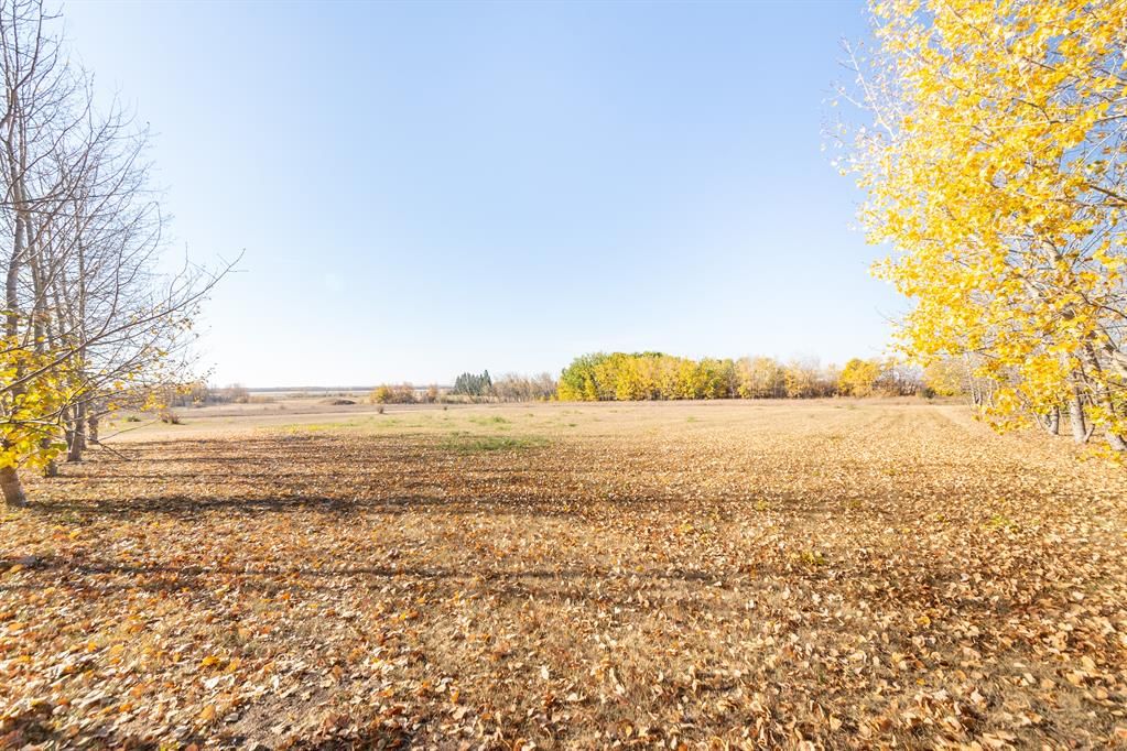 Listing Image 37
