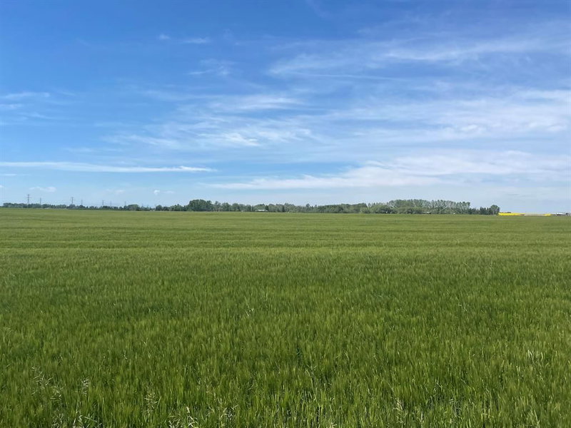 Range Rd 275, Rural Rocky View County, T1X0H6 | Image 2