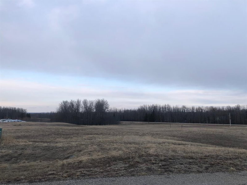 146 Bruhn Boulevard, Rural Ponoka County, T0C 2J0 | Image 2