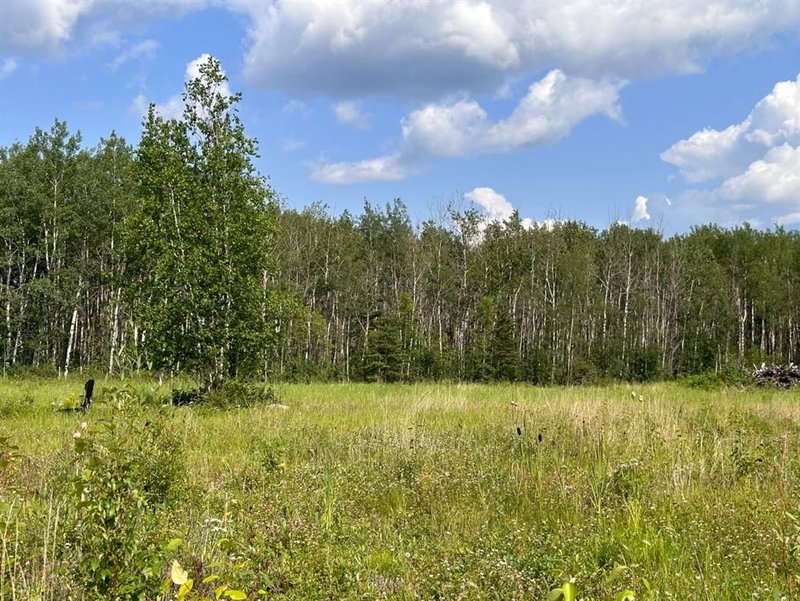 121 - 67417 McGrane Road, Lac La Biche, T0A 2C2 | Image 2