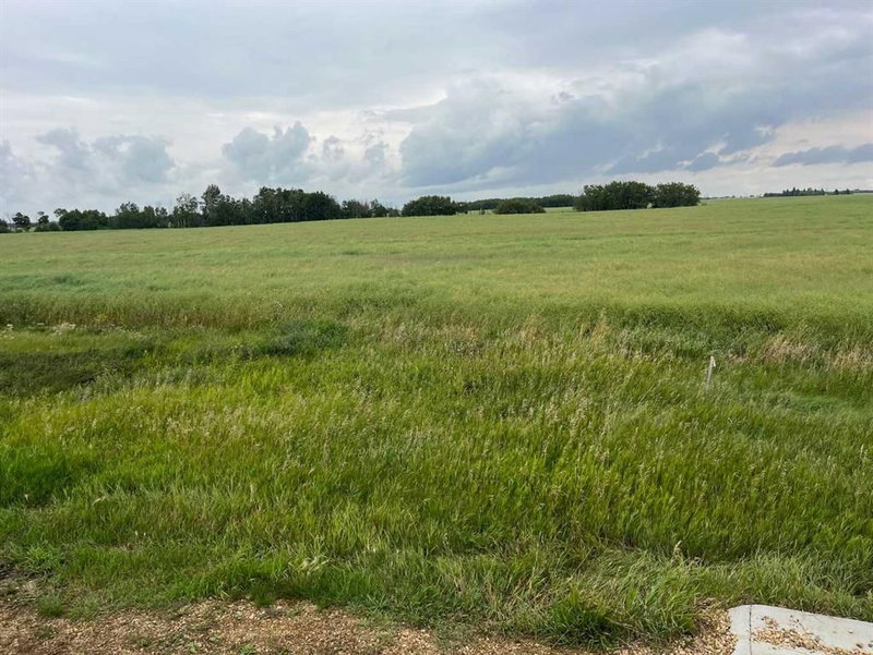 318 Niblock Street, Bawlf, T0B 0J0 | Image 2