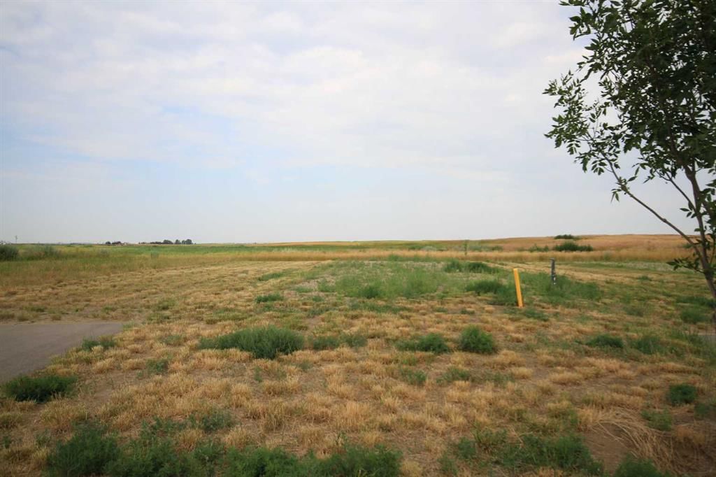 Listing Image 0
