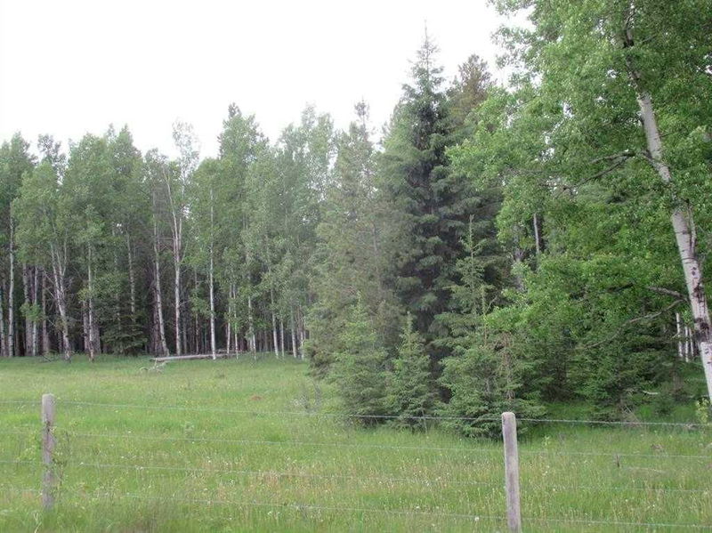 Cow Creek Road, Rural Clearwater County, Alberta (MLS A2110498)