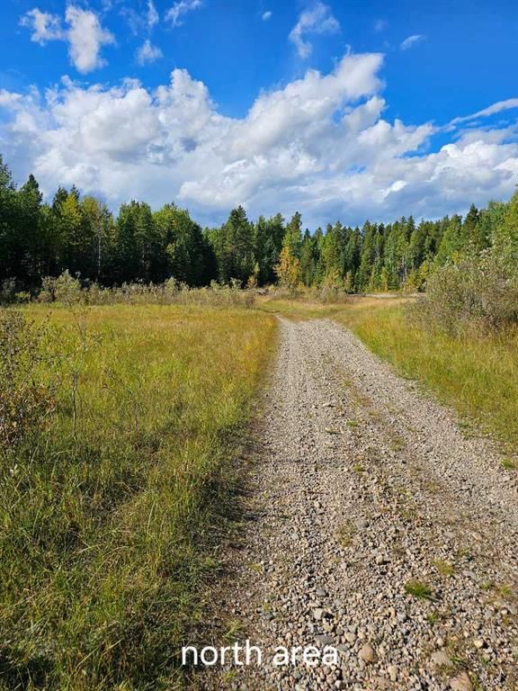 Pine Ridge Drive, Rural Clearwater County, Alberta (MLS A2116843)