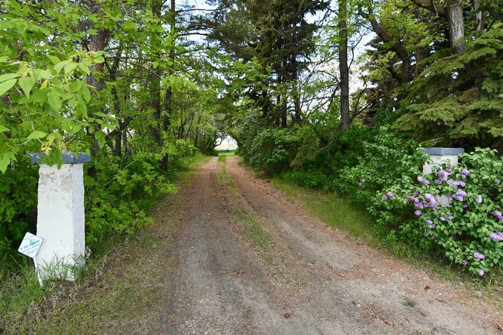 Listing Image 32