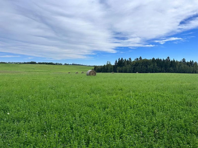 On Township Road 413, Rural Clearwater County, Alberta (MLS A2158779)