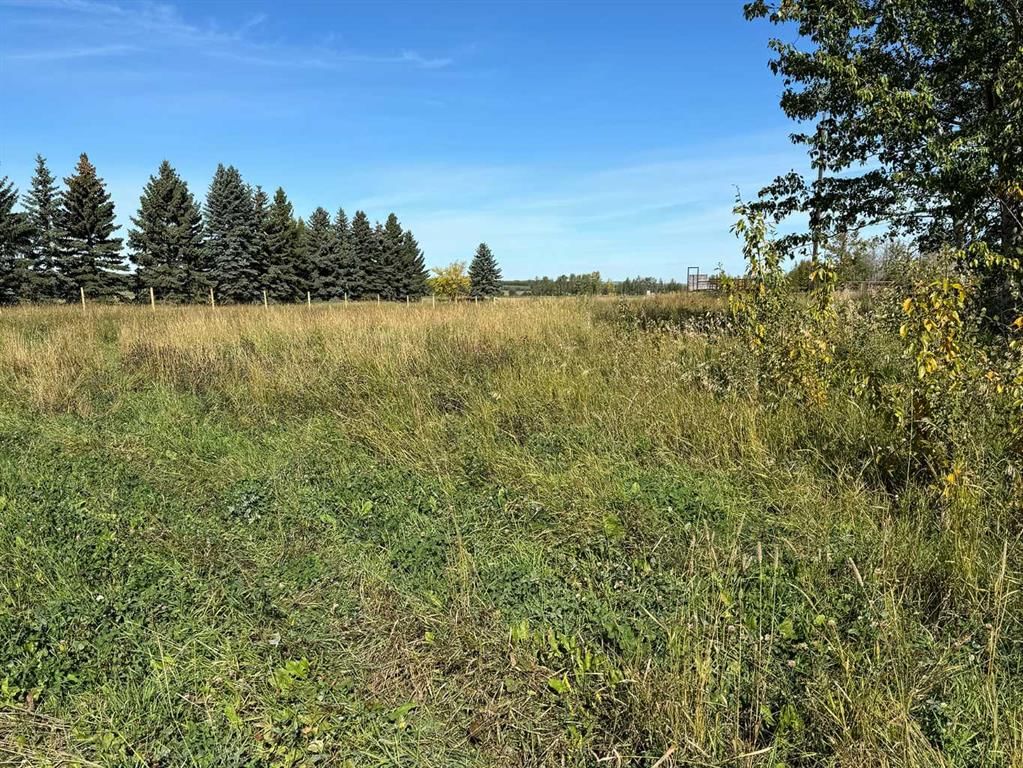 Listing Image 37