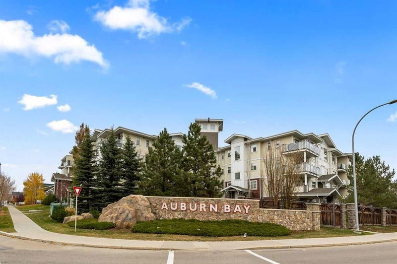 10 Auburn Bay Link SE #401, Calgary, Alberta (MLS A2174801)