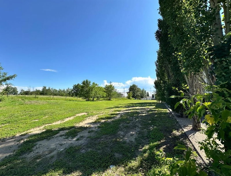 1129 17 Street, Wainwright, T9W 1E5 | Image 2