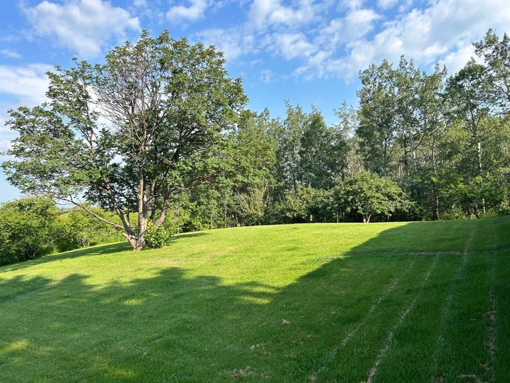 Listing Image 46