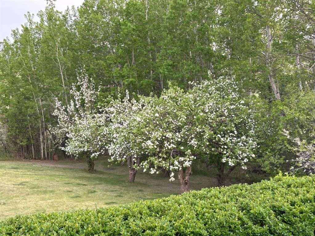 Listing Image 50