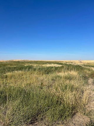 11005 Eagle Butte Road