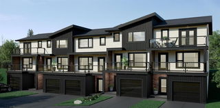 14 Violet Point