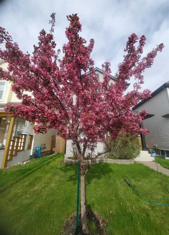 31 Bridlecrest Road