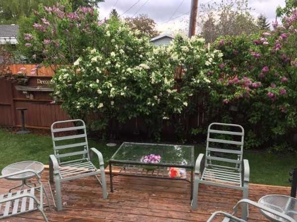 Listing Image 35