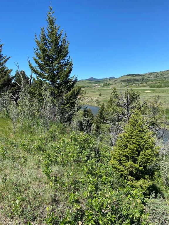 6 Rustler's Ridge, Rural Pincher Creek No. 9, M.D. of, T0K 1W0 | Image 2