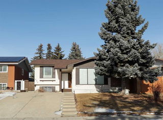 236 Pinetree Road