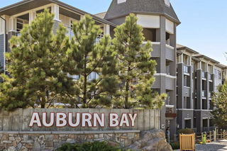 241 - 25 Auburn Meadows Avenue