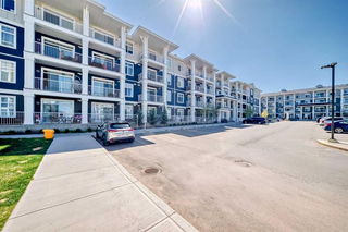 225 - 400 auburn meadows Common