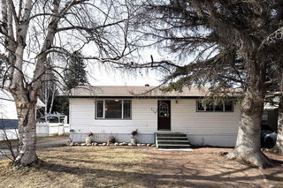 119 LODGEPOLE Drive