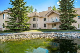 2002 Patterson View