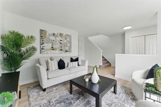 100 Saddlebrook Common