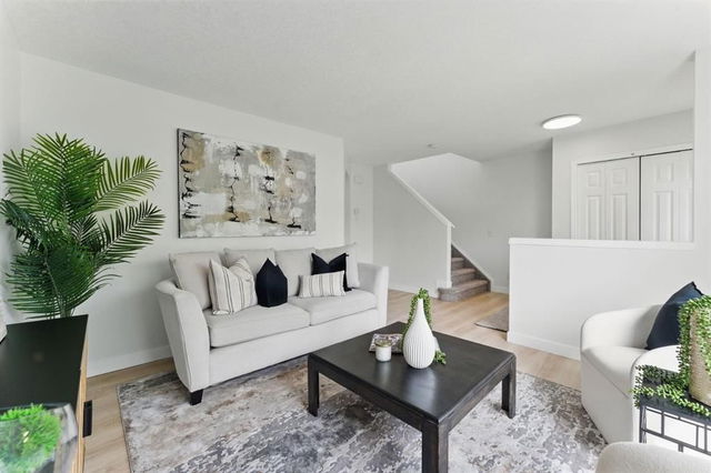 100 Saddlebrook Common