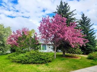 160 Queen Anne Road SE